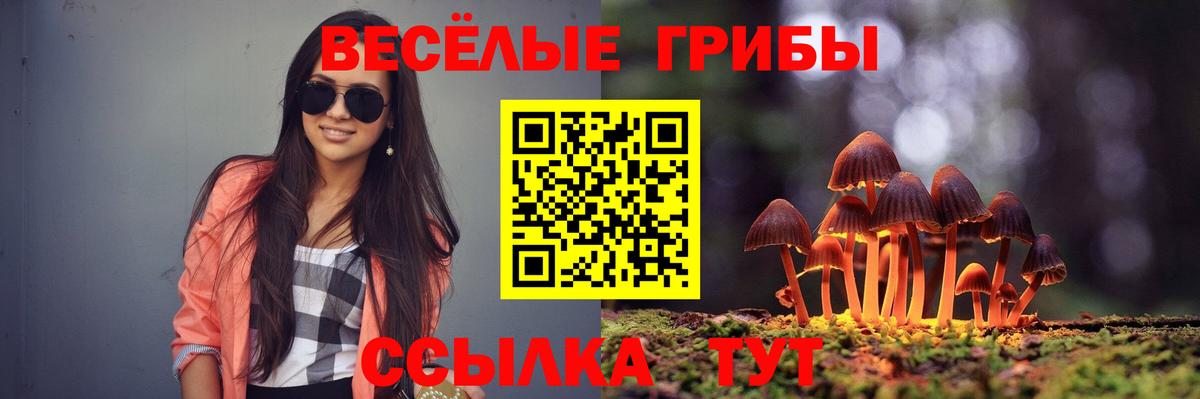 Галлюциногенные грибы Magic Shrooms  Вход с VPN  Самара  Псилоцибиновые грибы мицелий 